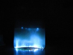 Luminol 5g ultrapure 99,9% ( Blood trace detection, luminescence dye)