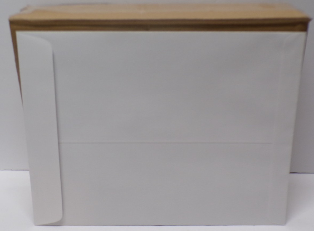 Blue Summit Supplies 100 Envelopes 9 X 12 Security Catalog White Self Seal