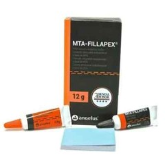 Angelus MTA FILLAPEX Based Dental Root Canal Sealer 12gm Fast Ship