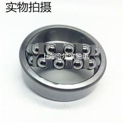 Double row self-aligning ball bearing 1305 1306 1307 1308 1309 1310 11 12K/AKTN