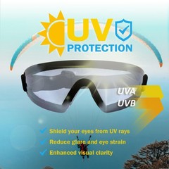 Birdz Eyewear Wing Skydiving Sports Goggle with Blue Glare-Reducing Mirror Lens