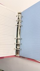 Filofax Cover Story Alexia Claire Floral Personal Size Organizer Planner-retired