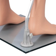Male Plastic Mannequin Leg Form 46″ High Base Flesh Tone Man Legs Pants Shorts