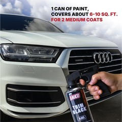 LAUCO Trim Black Gloss Automotive Spray Paint – 13 oz Aerosol Can for Plastic,