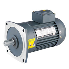 750W 380V 22mm Reduction Gear Motor Three-Phase CW/CCW Adjustable Speed Reducer