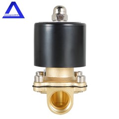 1/2 inch 12V DC Brass Electric Solenoid Valve NPT Gas Water Air Normally Closed