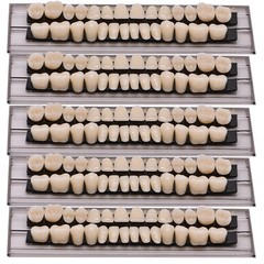 28 Pcs Dental Denture Acrylic Temporary Crown Resin Full Teeth Upper Tool A2/A3