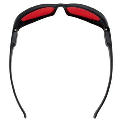 Global Vision New Attitude Motorcycle Glasses with Flames (Black Frame/Red Lens)
