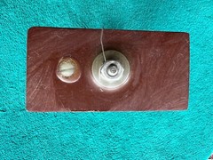Plastic Capacitors, Inc. High-Energy Pulse Capacitor, 0.01MFD, 15KVACW