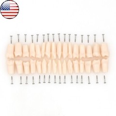Kilgore Nissin 200 Type Dental 32pc Typodont Model Removable Teeth Mounting Pole