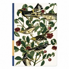Set of 4 Vintage Bird Hardcover A5 Blank Notebooks Journal Sketchbook 288 Pages