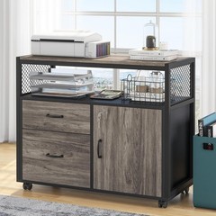 Compact Modern File Cabinet with 2 Drawers & Security Lock, Stylish Home Office
