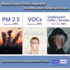 PUREBURG Replacement Filter Compatible With Dupray Bloom Air Purifier AIR030W…