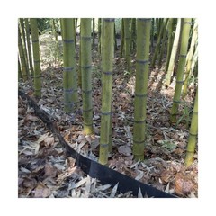 20 feet Long x 36 inch x 100 mil – Bamboo Root Barrier/Water Barrier 20 feet