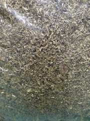 1LB of Unique Naval Brass Shavings Filings Turnings Chips Science Orgone Art
