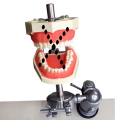 Dental Typodont Mounting Pole Fit Kilgore Nissin Columbia Dentoform Frasaco