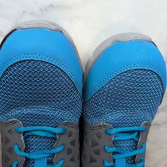 Reebok Women’s Size 8 Work Shoe Alloy Toe Rubber Bottom Blue And Gray