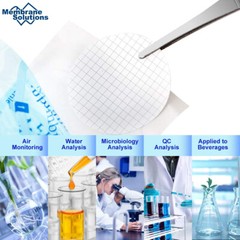 MCE 47mm Microdisc Membrane Filter,0.45μm Pore Hydrophilic,Gridded,Single Filter