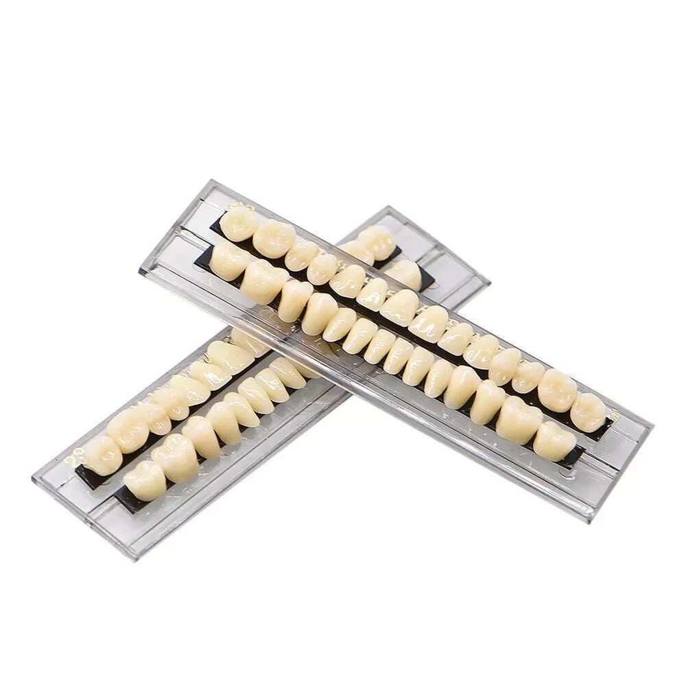 56 Pcs/2 Set (A2+A3) Dental Complete Resin Denture Teeth #23 Acrylic False Teeth