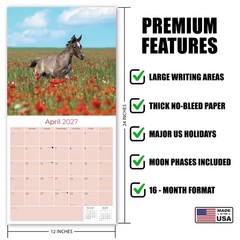Arabian Horses Calendar 2024 FULL SIZE 12×24 Made in USA