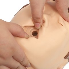 Professional CPR Adult Manikin CPR Manikin for First Aid Training Education