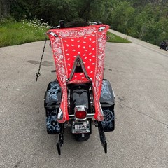 THIGHBRUSH® – ROJA – Water Repellent Motorcycle Cover and Sunshade