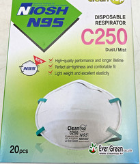Clean Top Ever Green NIOSH N95 Particulate Respirators 1 CS/24 Boxes of 20