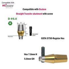 Dental Titanium Straight Abutment Ti Cemented Abutment Fits to Osstem Hiossen TS