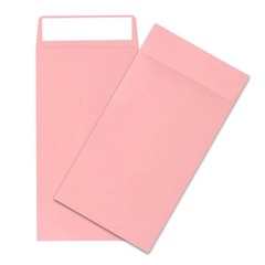 100 Pack Cash Envelopes Small Money Envelopes for Cash Coins Check, 3.5×6.5 Inch
