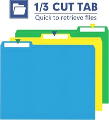 Stylish Assorted 120 File Folders with 1/3 Cut Tabs for Organized Workspaces