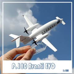 1:100 P.180 Avanti EVO Aircraft ABS Model