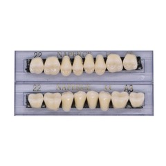 168Pcs Dental Acrylic Resin Denture 22#A3 Full Set Teeth Upper Lower Shade Tooth
