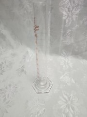 100ml Graduated Cylinder, Boro. 3.3 Glass, Single Metric, Class B SINGLE ITEM =1